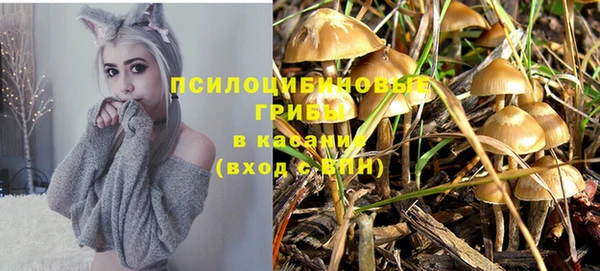 амф Медвежьегорск