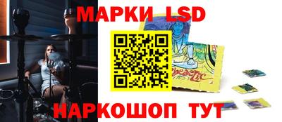 шишки Кандалакша