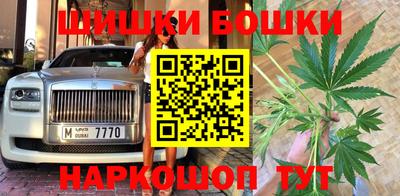 шишки Кандалакша