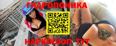 дурь Камышлов