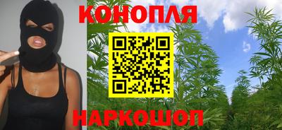 шишки Кандалакша