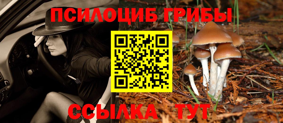 Псилоцибиновые грибы мухоморы Тайшет