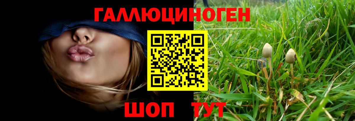 Галлюциногенные грибы Psilocybine cubensis  Вход с VPN  Тайшет 